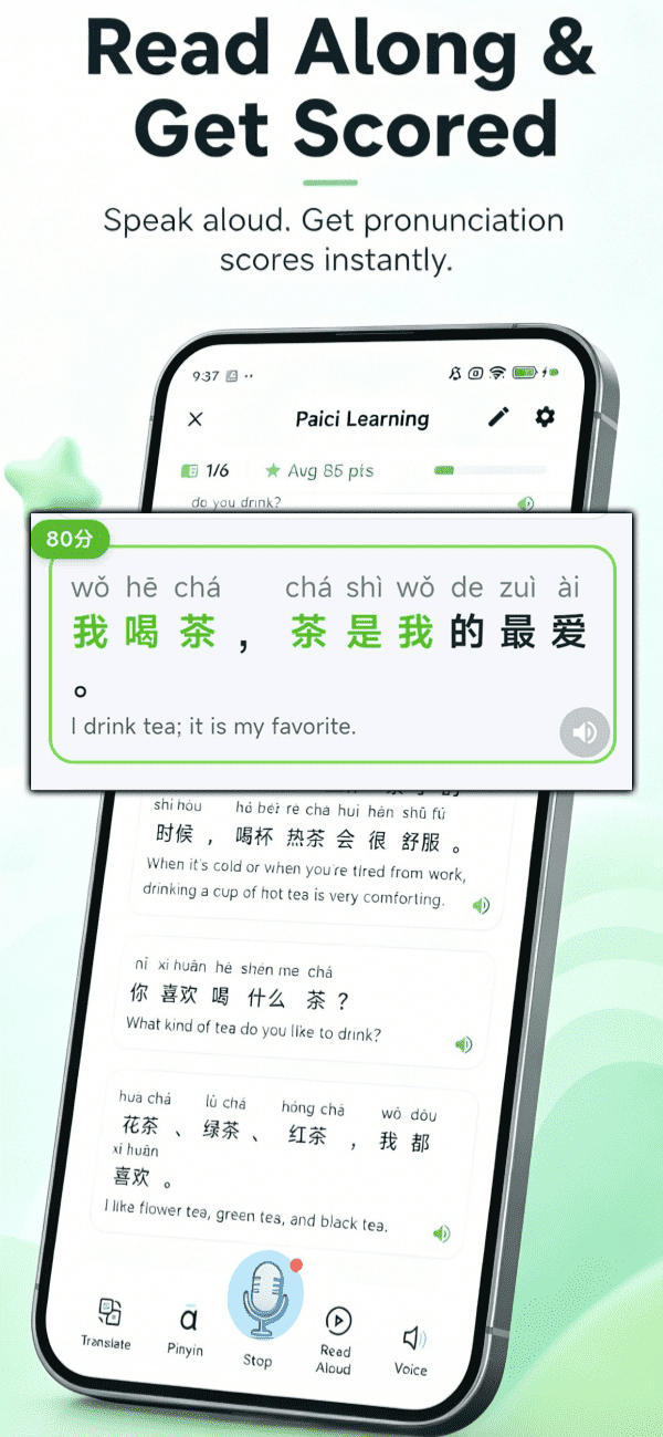Paici 闪卡复习
